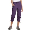 image:imagebaleaf Womens Hiking Pants Quick Dry Lightweight Water Resistant Elastic Waist Cargo Pants for All Seasons29dark Purple