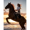 image:imagebaleaf Womens Horse Riding Pants Full Seat Silicone Equestrian Breeches Horseback Riding Tights Storage PocketsBrown
